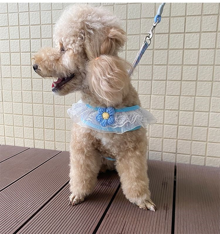 犬の牽引紐レースの胸の帯のテディ比熊の小型犬の牽引犬の縄は犬のひもの犬のチェーンを散歩します