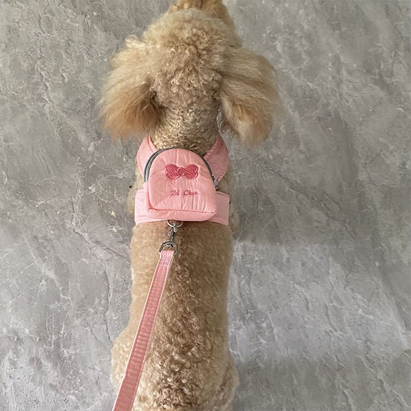 かわいいペットの犬はバックパックから散歩に出かけます