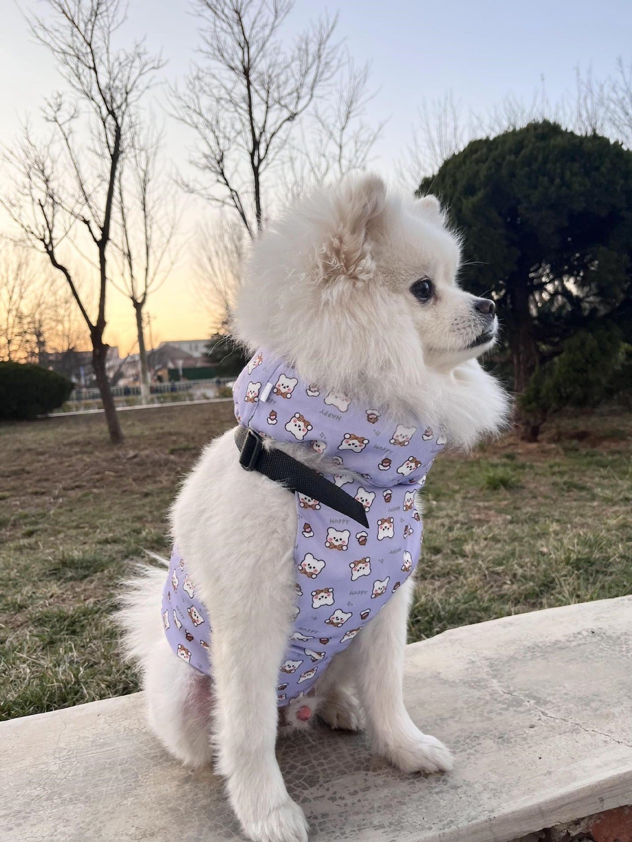 犬 クールベスト 保冷剤 付き 冷却ベスト 冷感ベスト 熱中症対策 ペット 服 ドッグ h0415