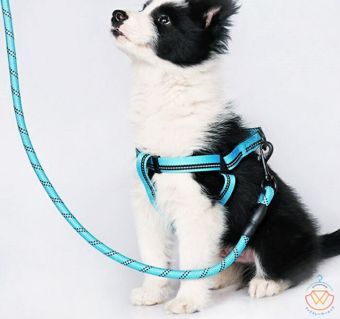 高品質新入 犬もリード 犬用 リード 小型犬 中型犬 大型犬 持ちやすい ソフトハンドル おしゃれ 首輪 おしゃれ 幅0.8cm 幅1.0cm 幅1.2cm 全長150cm ハーネス オシャレ ショル