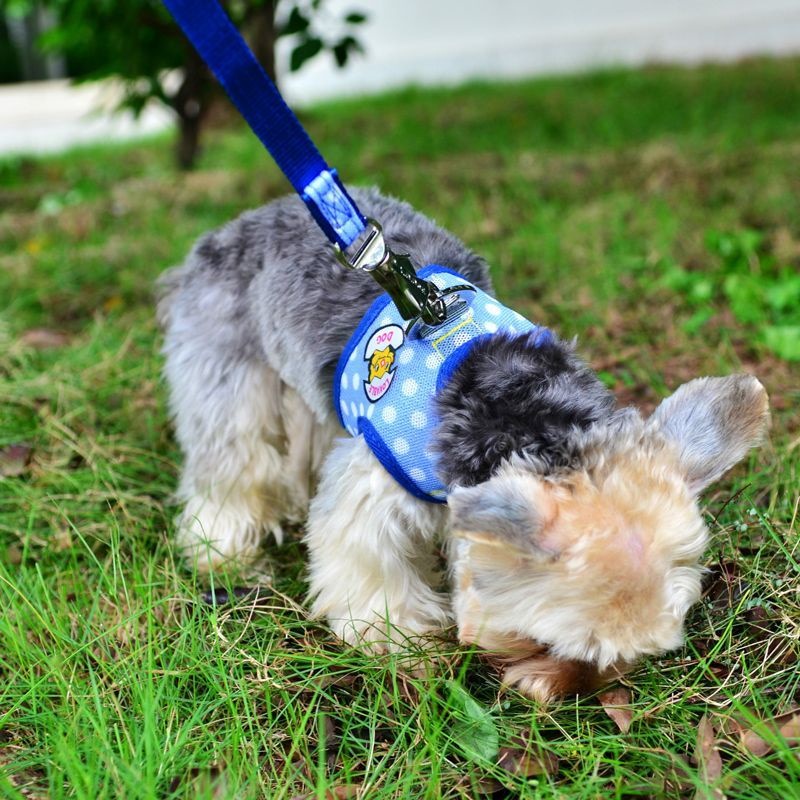 牽引紐通気小型ベスト犬チェーンテディはペットを連れて犬を散歩します