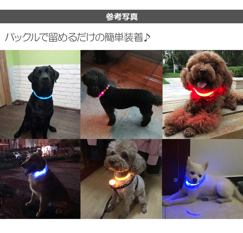 犬 首輪 光る LED キラキラ 光るバンド S/M/L 首バンド 夜間 散歩 夜 ペット リード ジョギング ウォーキング きらきらバンド 安全ライト 防止 点滅 ライト ins