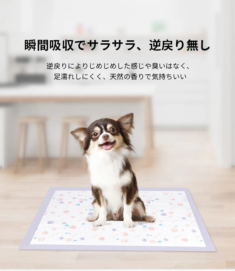 <a href="https://www.qoo10.jp/gmkt.inc/Search/brand.aspx?brandno=109151" target="_blank" class="title_brand" id="btn_brand" title="Honeycare">Honeycare</a>ペットシーツ 中厚型 ペットシート厚型 サイズ選択可 レギュラー ワイド スーパーワイド 香り付き 香りの選択