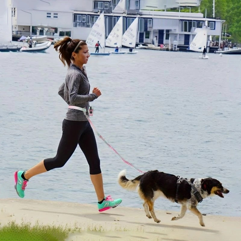 厳選素材多機能 スポーツバッグ リード 夜対応 反射材付き 犬 大型犬 中型犬用 いぬ 伸縮性 痛くない 幅広 安心 安全 軽い 柴犬 犬用首輪 プレゼント ギフト 愛犬用 ペット用品 反射光