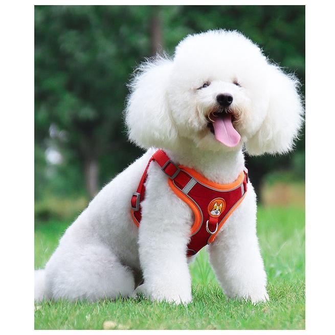 中型犬 簡単装着 犬 犬の 胴輪 小型犬 かわいい 脱げない 犬用 おしゃれ 大型犬 リード ハーネス