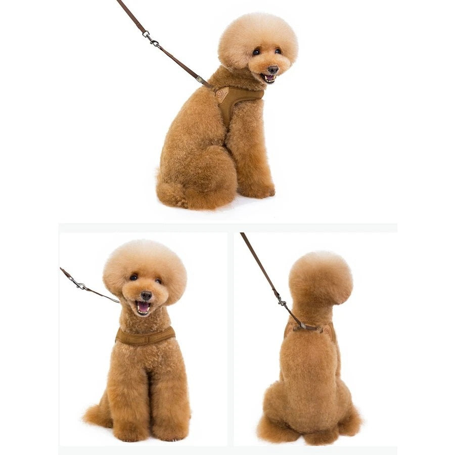 ハーネスリード ペット用品 犬 小型犬 2点セット お散歩 お出かけ アウトドア カジ