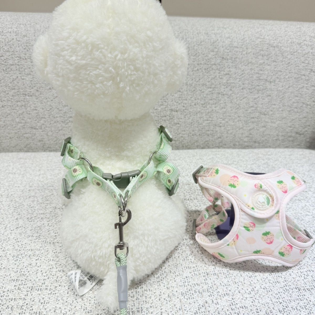新型伸縮可能な通気性ペットの胸の牽引紐の小型犬は四季を通じて通用します