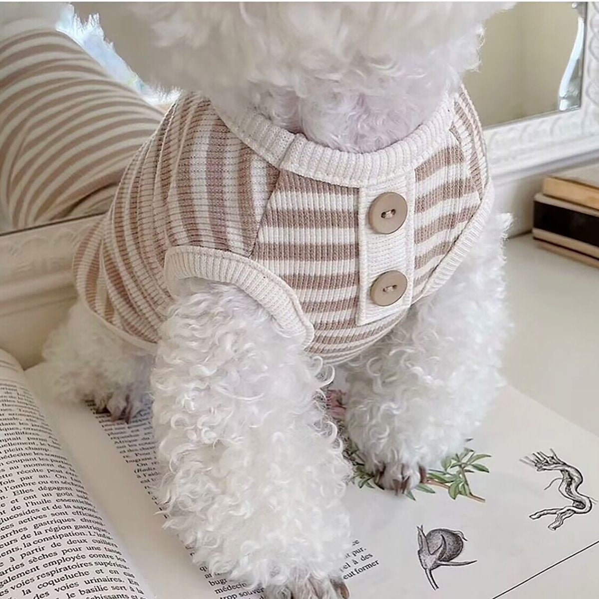 ペット服 ストライプベスト テディ ビションフリーゼ ポメラニアン 小型犬&中型犬 キャット&ドッグウェア 犬 服 犬の服 犬 洋服 犬の服夏 犬洋服