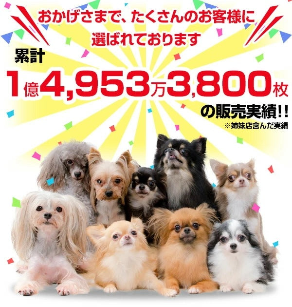 <a href="https://www.qoo10.jp/gmkt.inc/Search/brand.aspx?brandno=22721" target="_blank" class="title_brand" id="btn_brand" title="山善">山善</a>ペットシーツ 薄型 薄型ペットシーツレギュラー800枚/ワイド400枚/スーパーワイド200枚/ウルトラワイド100枚