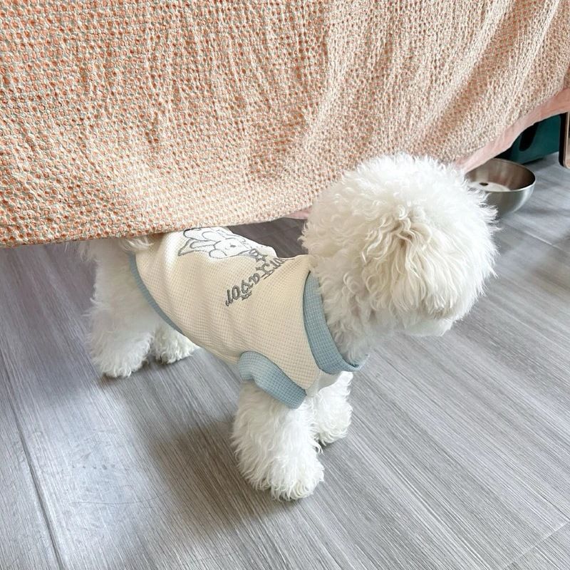 かわいいペットの服犬の服衝突色ベスト春夏新スタイル