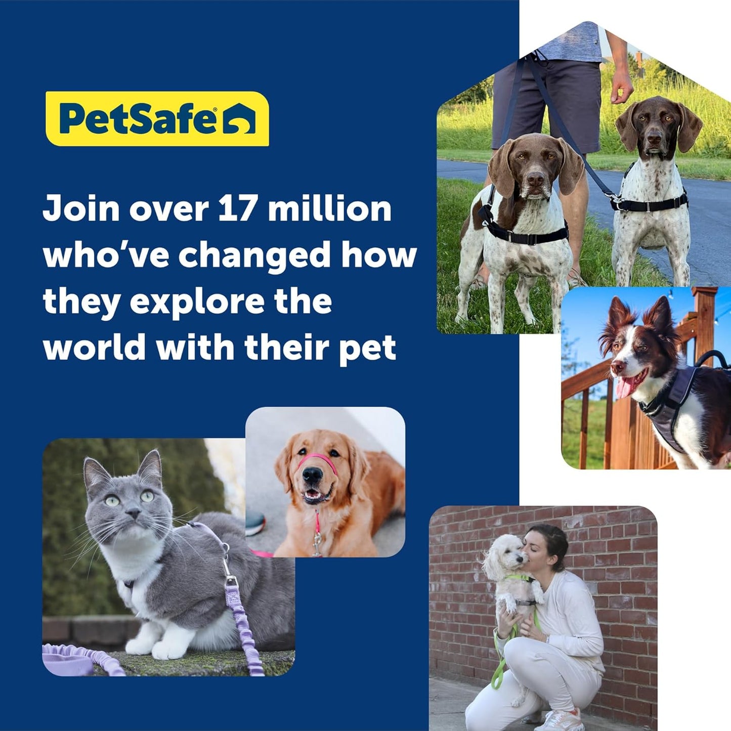 犬用 引っ張り防止ハーネス デラックスイージーウォークハーネス オーシャンブルー×ブラック M