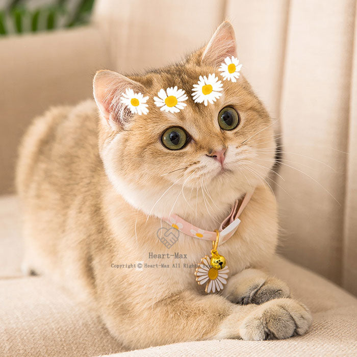 即日発送ペット首輪 ペット用品 猫首輪 猫の首輪 猫用 犬 首輪 ネコ首輪 小型犬適用 犬猫兼用 鈴付き 花柄 調節可能 可愛い首飾 記念撮影 お出かけ 部屋着 かわいい おしゃれ 軽い 柔らかい 安