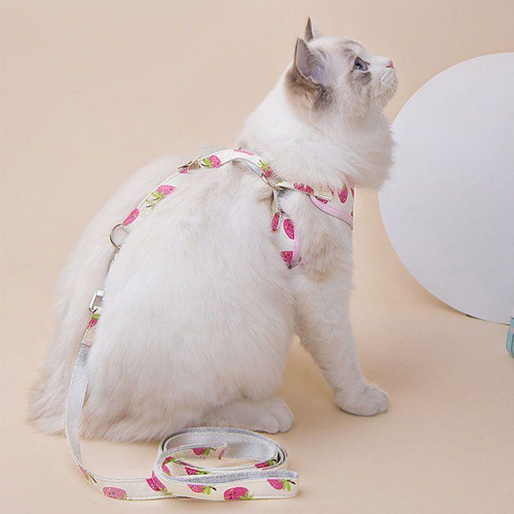 3日以内に出荷 2025新品 2点セット ペット用品 ハーネス リード 猫用 小型犬用 全3色 ポリエステル S ( 15-3kg ) M ( 3-5kg ) L( 5-75kg ) リード長さ12