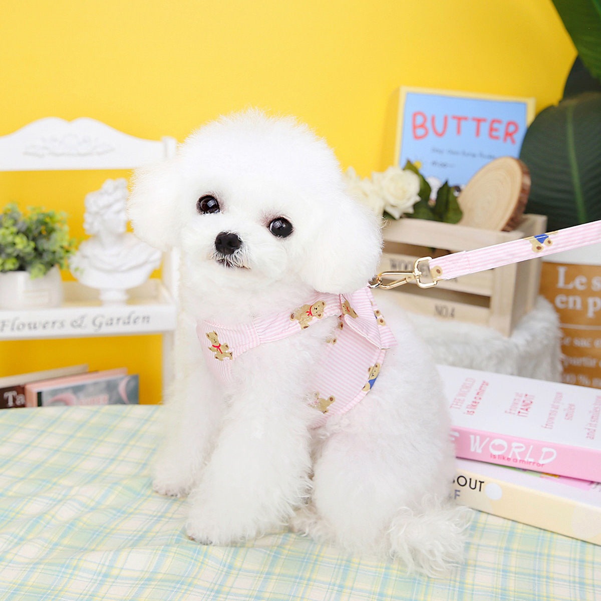 熊カップルペット猫テディ比熊犬服ベスト幼犬胸帯薄い夏牽引ロープ メガ割ワンピースパンツトートバッグ
