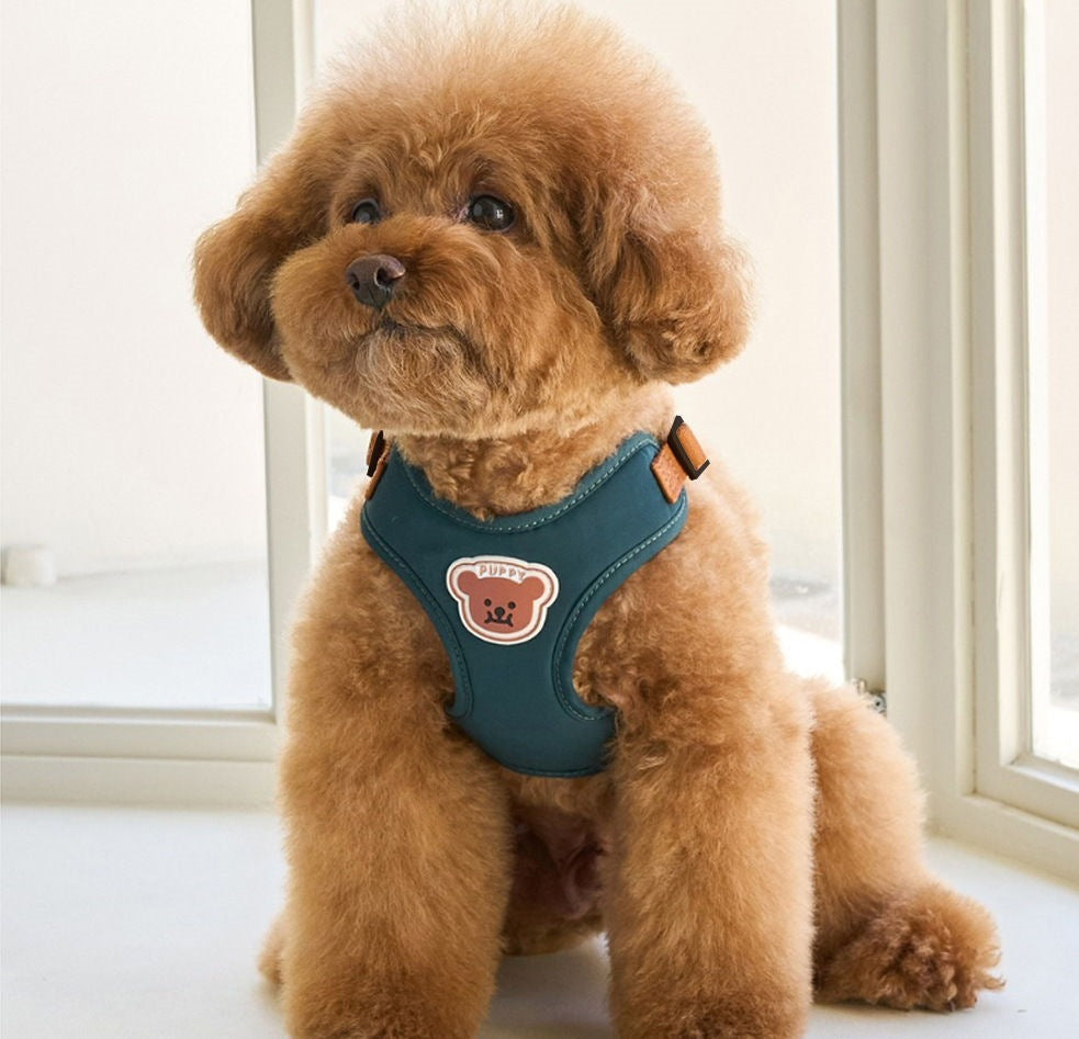 ペット胸ストラップ牽引セット小型犬外出ベスト式牽引ロープ通気テディ熊犬ロープ メガ割ワンピースパンツトートバッグ