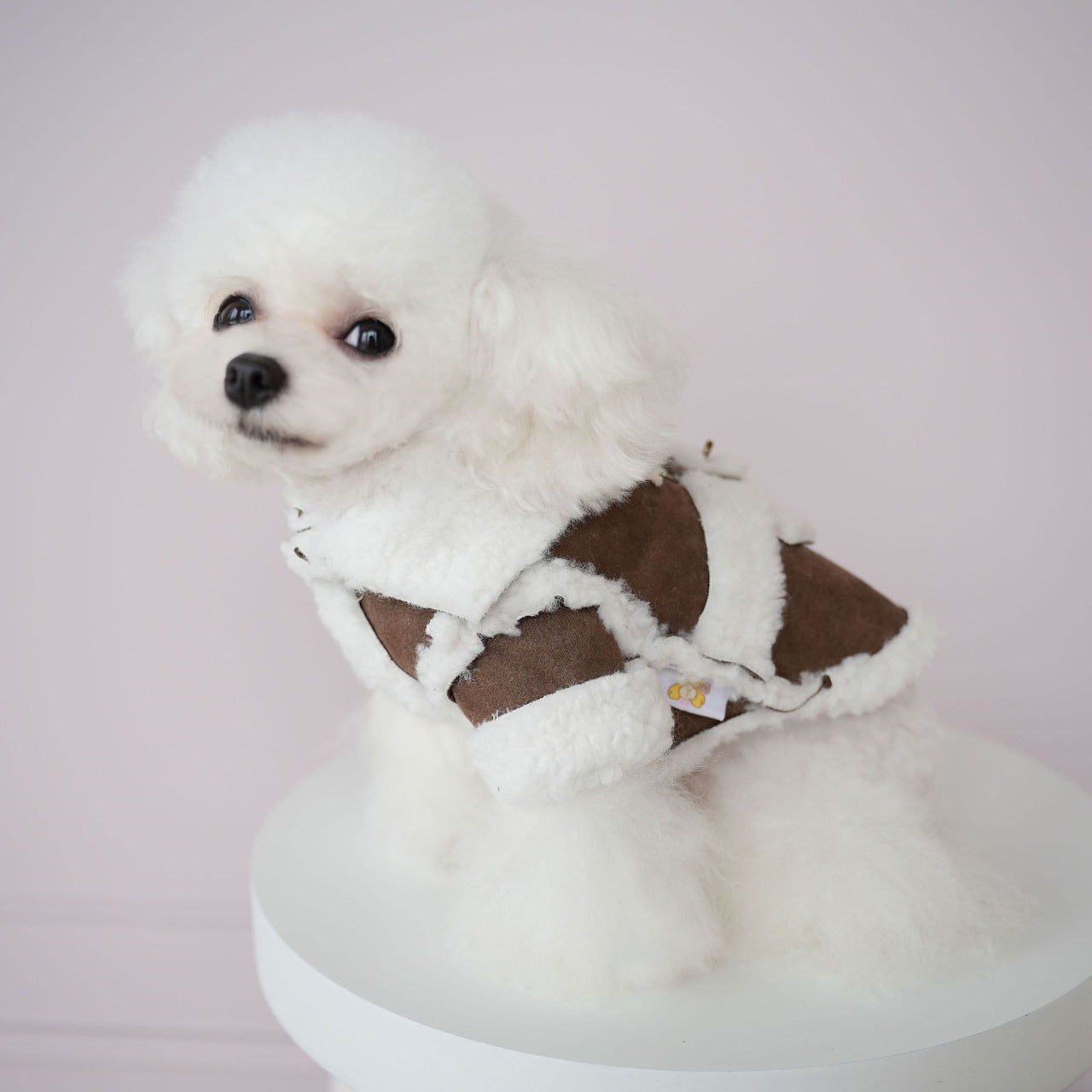 犬服新しいペットの服イミテーションスエードワンピースコットンコートソフト快適な冬のコートプードル二本足の服