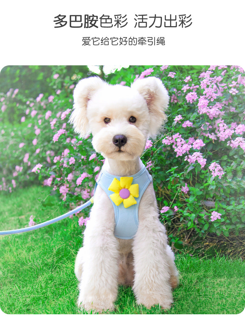 小型犬 犬 リード 75 猫用 中型犬 ペットハーネス ペット用品 シンプル 胴輪 お出かけ 犬用 2点セット ハーネス ネコ用ハーネス お散歩 簡単装着 犬用ハーネス 軽量 おしゃれ ハーネスリード