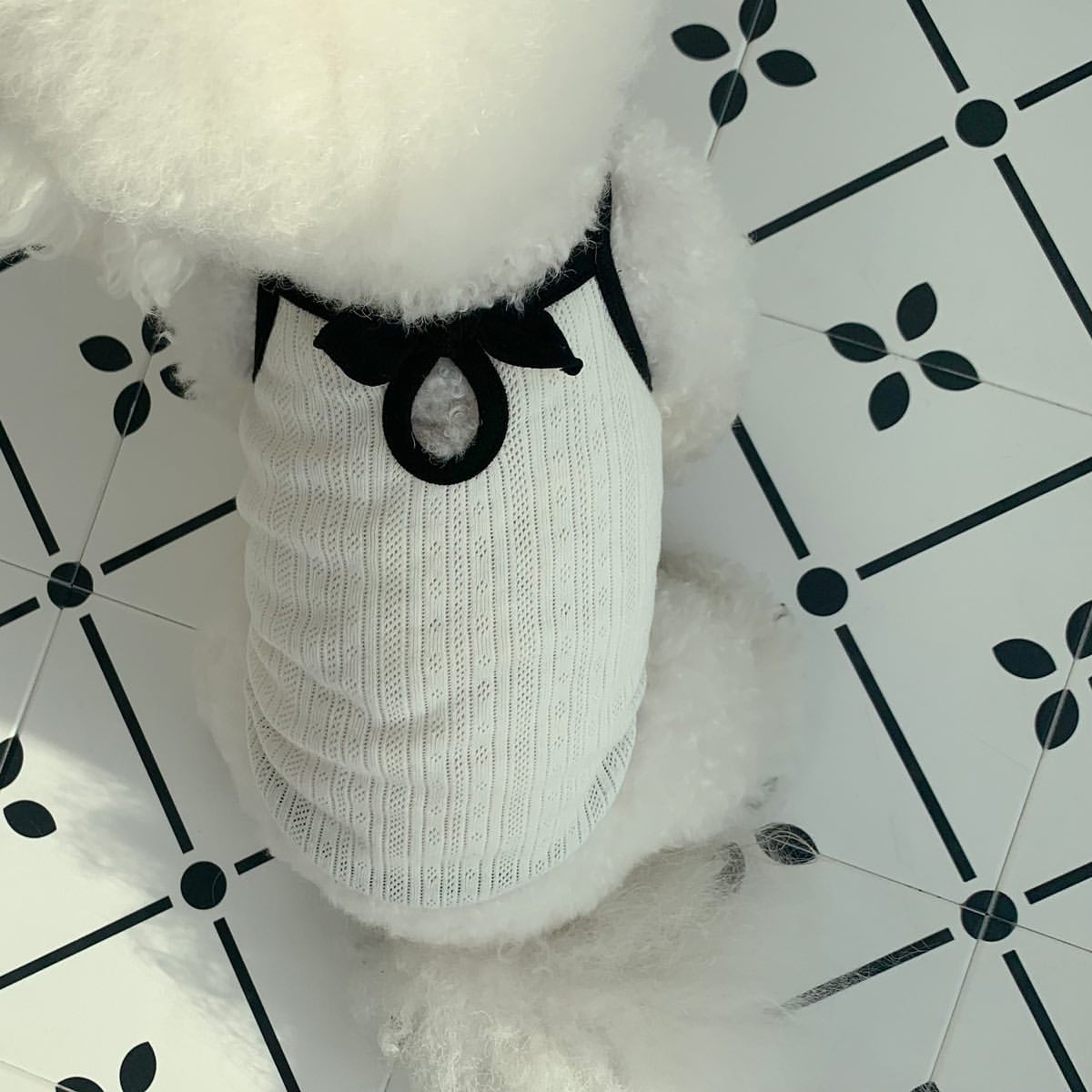 春夏新作 犬服 ペット服 犬 洋服 ペット 犬用品 小中型犬 春夏薄手犬服猫小型犬キャミソールベスト