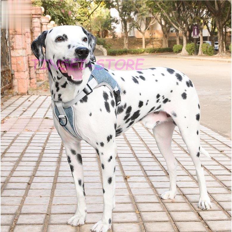 大型犬 小型犬 ドッグ ペットハーネス メッシュ ウェアハーネス メッシュ素材 おしゃれ 犬用 キャ1577