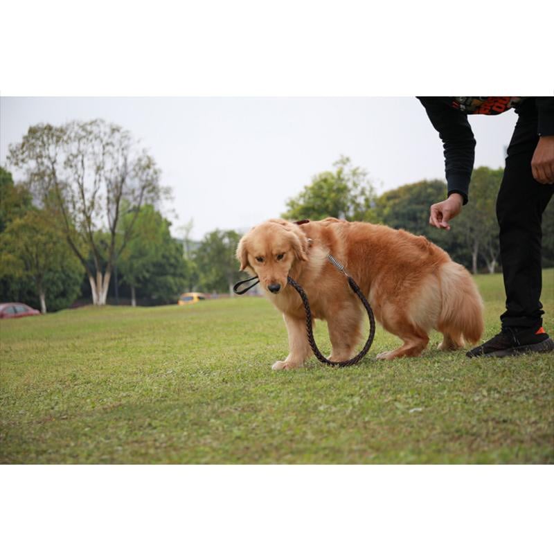犬用 首輪 リード 大型犬 中型犬 ペットリード 革 レザー メタル スプリング付き 衝撃緩和 錆に強い 丈夫 頑丈 ちょっぴり かっこいい