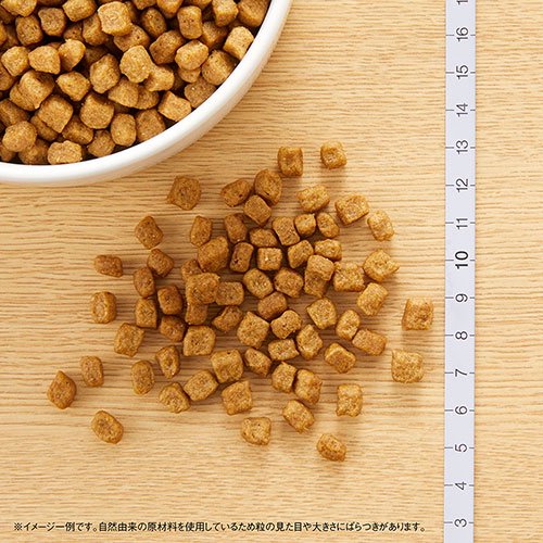 <a href="https://www.qoo10.jp/gmkt.inc/Search/brand.aspx?brandno=56178" target="_blank" class="title_brand" id="btn_brand" title="ナチュラルチョイス">ナチュラルチョイス</a>ニュートロ 小型犬用 成犬用 チキン&玄米 3kgX2袋+パウチ 1袋 おまけ付 お一人様1点限り CRC45―02―53―20―00