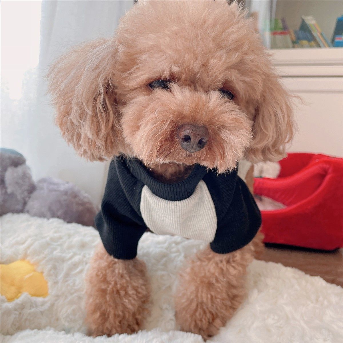 秋冬新作 グレー×ブラック パッチワークデザイン 犬服 トイプードル ビションフリーゼ フレンチブルドッグ対応 犬 服 犬 服 犬服 犬の服 ペット用品 ハーネス 小型犬