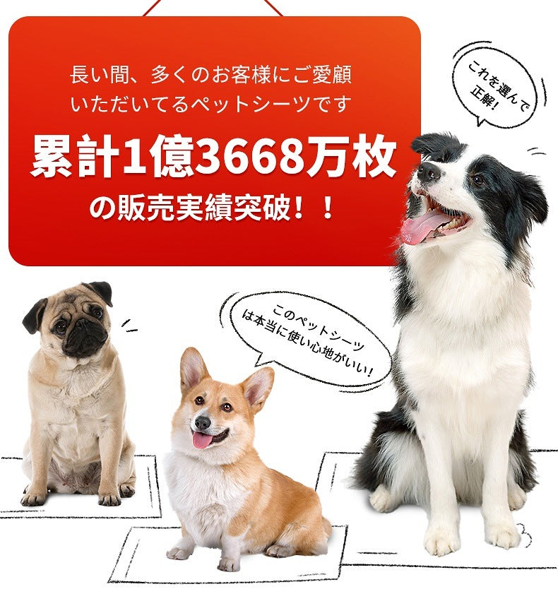 <a href="https://www.qoo10.jp/gmkt.inc/Search/brand.aspx?brandno=109151" target="_blank" class="title_brand" id="btn_brand" title="Honeycare">Honeycare</a>ペットシーツ 薄型 ペットシート 犬猫 サイズ選択可 レギュラー800枚 ワイド400枚 スーパーワイド200枚