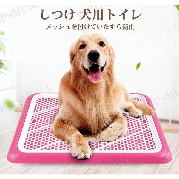 しつけ 犬用トイレ ペット トイレ トレーニングトイレ 小型犬 室内犬 犬用 イヌ ペット用品 しつ