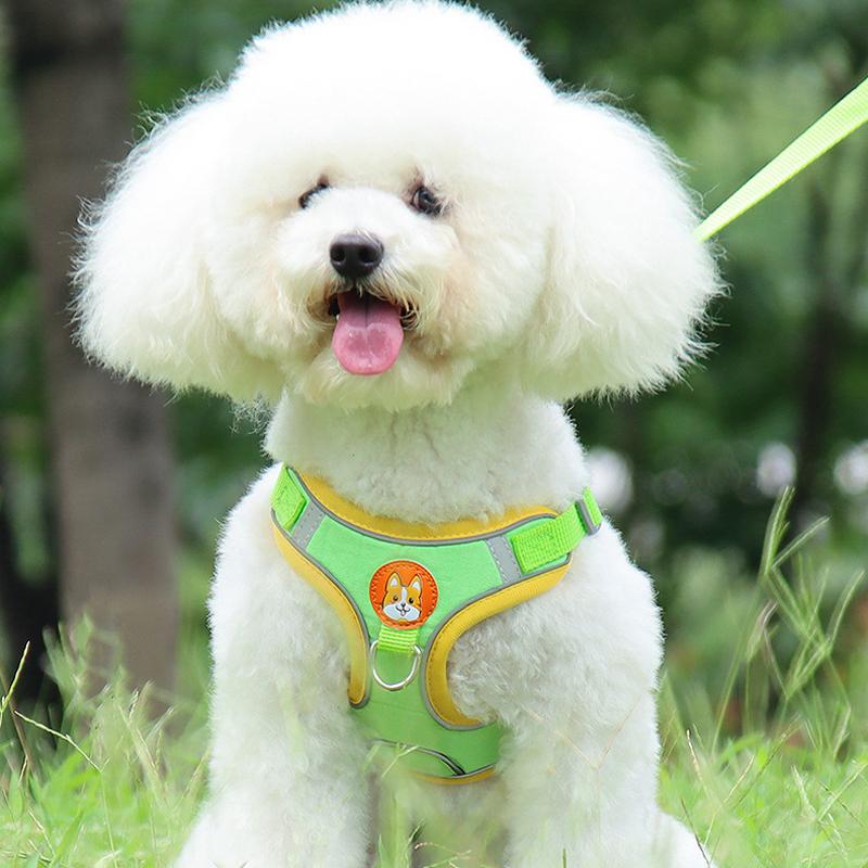 新商品プロモーション,数量限定 犬 ハーネス 犬用ハーネス リード付き ペット用 胴輪 小型犬 中型犬 大型犬 反射 簡単装着 可愛い 抜けない 柔らかい ペット用ハーネス犬 ハーネス