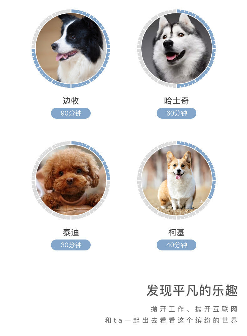 犬用 ペット用品 おしゃれ ハーネス シンプル 猫用 胴輪 ネコ用ハーネス お出かけ ペットハーネス 中型犬 小型犬 犬用ハーネス リーシュ リード 軽量 ハーネスリードセット 2点セット お散歩 犬