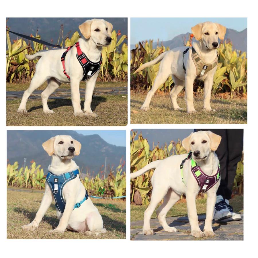 犬 犬用 ハーネス おしゃれ 丈夫 ドッグハーネス 小型犬 中型犬 大型犬 犬ハーネス リード付き メッシュ 胴輪 散歩 介護犬