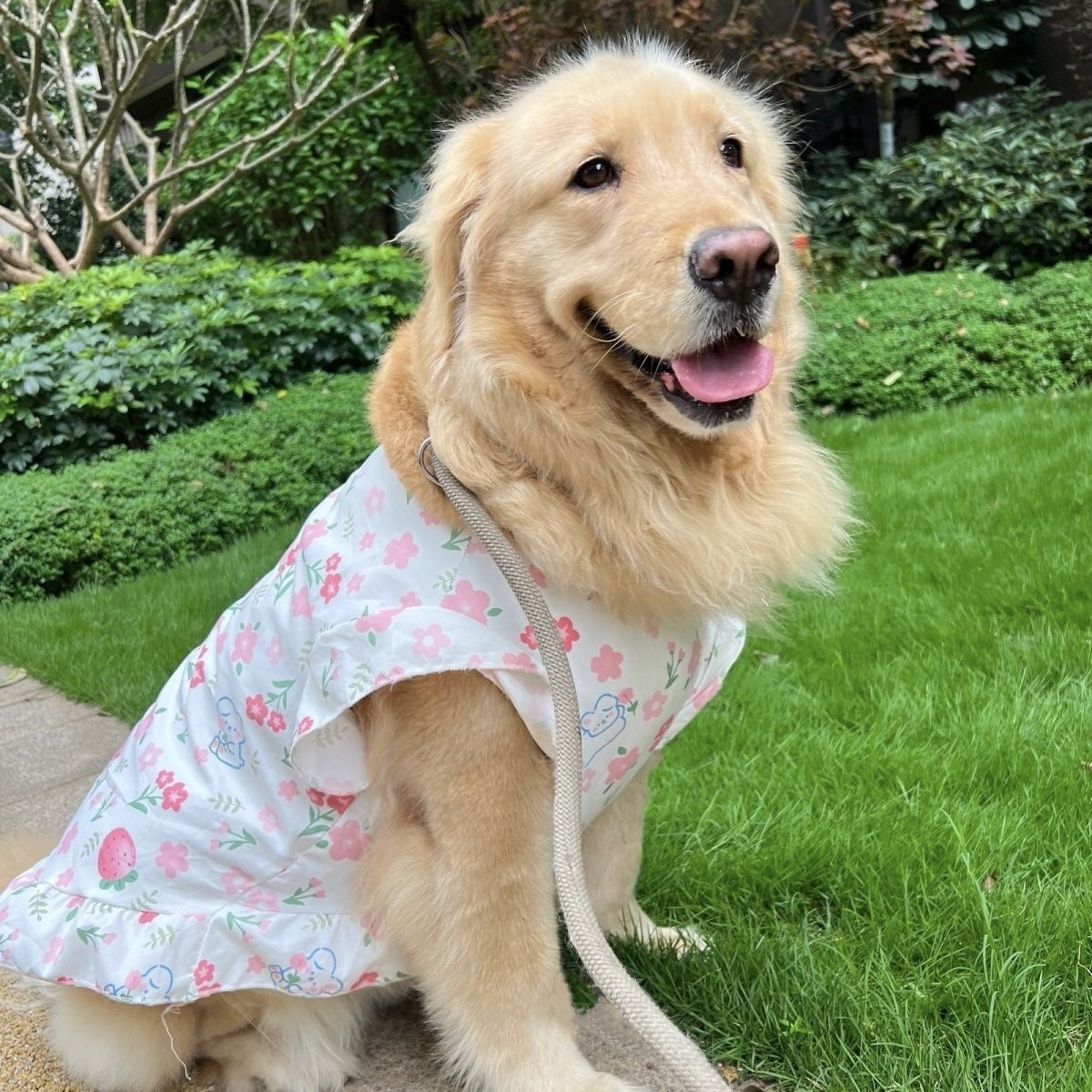 【新作犬猫服 登場】 犬服 ペット服 犬 洋服 春夏大型犬ペットベスト中型犬大型犬服