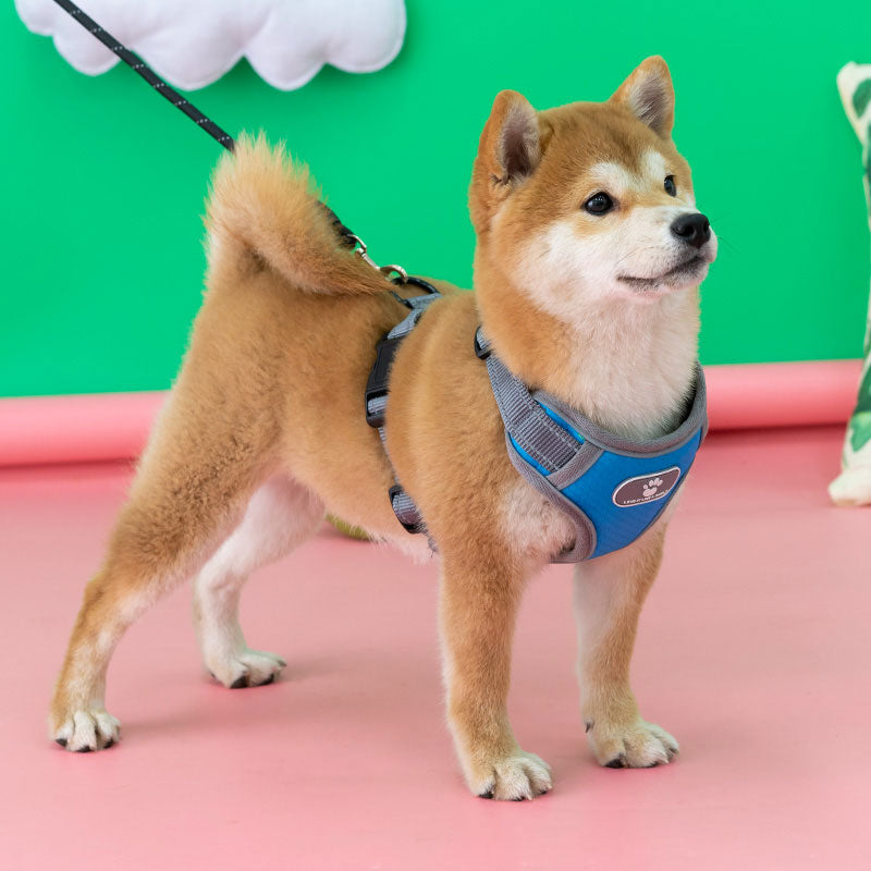 ペットハーネス BL-852 小型犬 中型犬 大型犬 ペット 犬 ハーネス 胴輪 ドッグ 犬用 メッシュ ベスト型 ソフトベストハーネス ベストハーネス