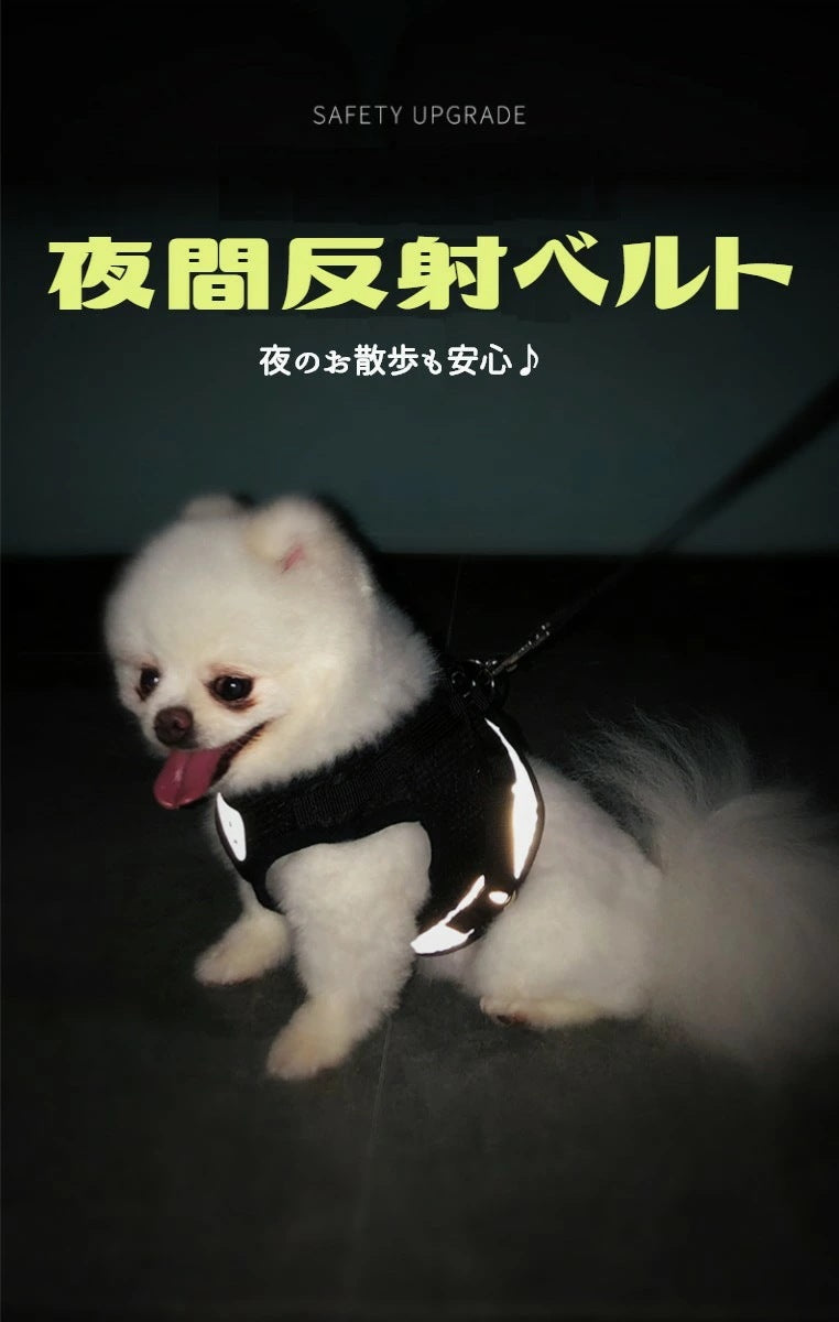 本日のおすすめ ペット メッシュ素材で軽く涼しいハーネス &リードセット 夜間反射ベルト 小型犬 中型犬 シンプル 全6色ペット メッシュ素材で軽く涼しいハーネスペット メッシュ素材で軽く涼しいハーネ