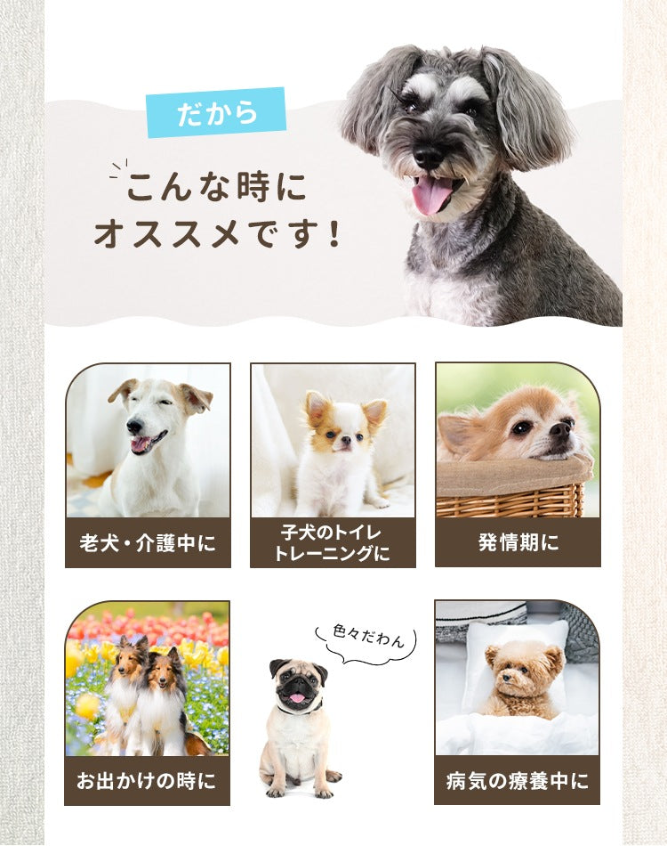 <a href="https://www.qoo10.jp/gmkt.inc/Search/brand.aspx?brandno=114450" target="_blank" class="title_brand" id="btn_brand" title="WEIMALL">WEIMALL</a>犬用おむつ 男の子 おしっこ用 ペット オムツ カバー 小型犬 小型犬 中型犬 テープ付き 紙オムツ しつけ 介護 避妊用 お漏らし対策 ペット用 紙おむつ 60枚 120枚 72枚 144枚