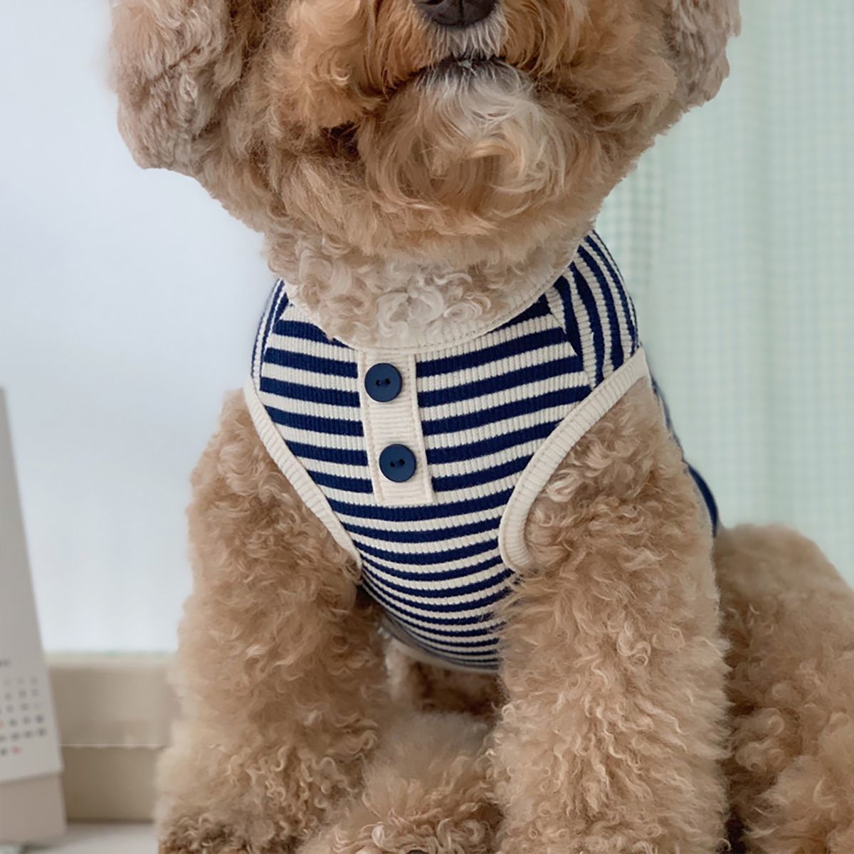 ペット服 ストライプベスト テディ ビションフリーゼ ポメラニアン 小型犬&中型犬 キャット&ドッグウェア 犬 服 犬の服 犬 洋服 犬の服夏 犬洋服