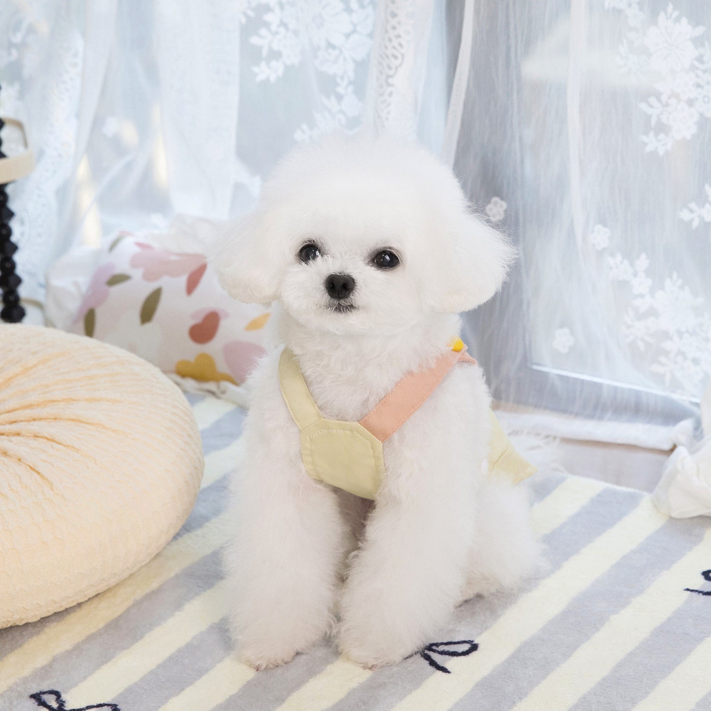 猫 犬 洋服 犬服 ペット服 大中小型犬 ペット用品 犬/猫用 犬の服 ペットウエア 小型犬 中型犬 通気 可愛い ドッグウェア トレーナー 犬 服 ワンピース サロペット ビションフリーゼ 犬猫服