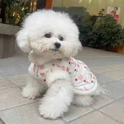 秋冬の犬服 テディボーミペットのコキシナレビーベア愛らしい 犬猫服秋冬服 パープル セーター 可愛らしい 暖かい野球服 冬アウター
