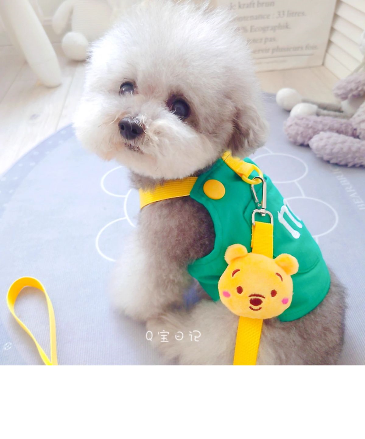 ペットの猫の小型犬のテディの犬の胸のストラップの牽引ロープのベスト式のドッグランの犬のひものかっこいいかわいい衝突色 メガ割ワンピースパンツトートバッグ