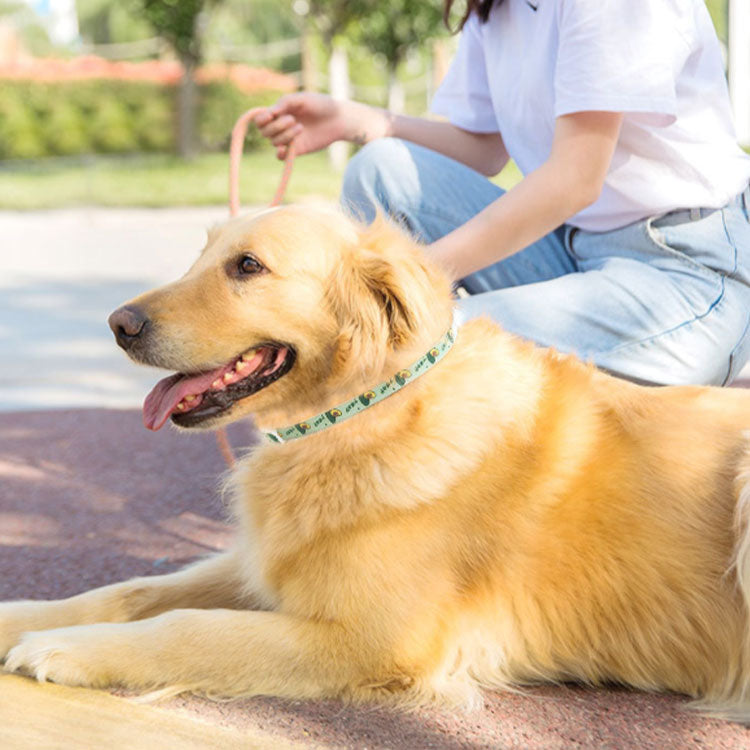 ペット用 首輪 ノミ取り ダニ取り猫用 小型犬 中型犬 大型犬 S M L ノミとり 蚊よけ首輪 防虫 虫除け用品 猫用品 ネコちゃん ワンちゃん 衛生用品 のみとり マダニとり 犬用品 ペット用品