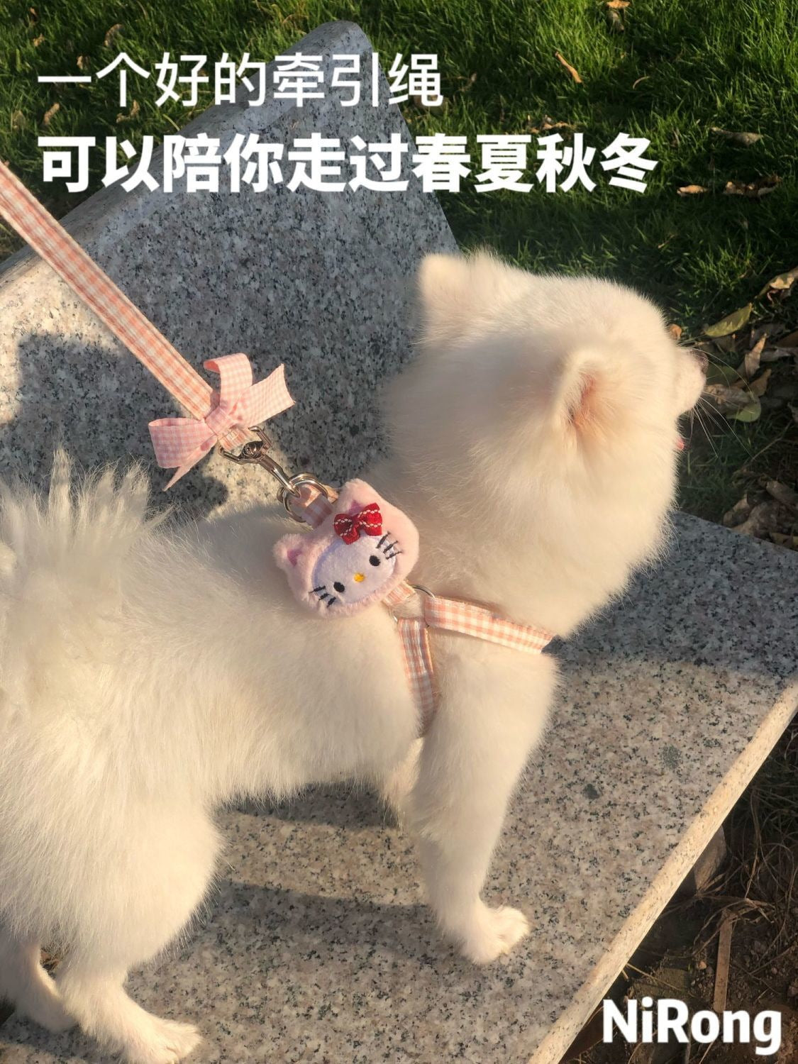 メガ割犬牽引ロープベスト式アニメ屋外散歩犬牽引ロープ小型中型犬犬チェーン犬ロープテディ博美973