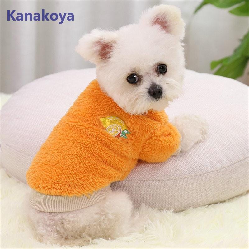 犬 服 ペットウェア 秋 冬 裏ボア 裏起毛 フルーツ 保温 防寒対策 暖か ドッグウェア 小型犬 中型犬 犬用 猫 旅行