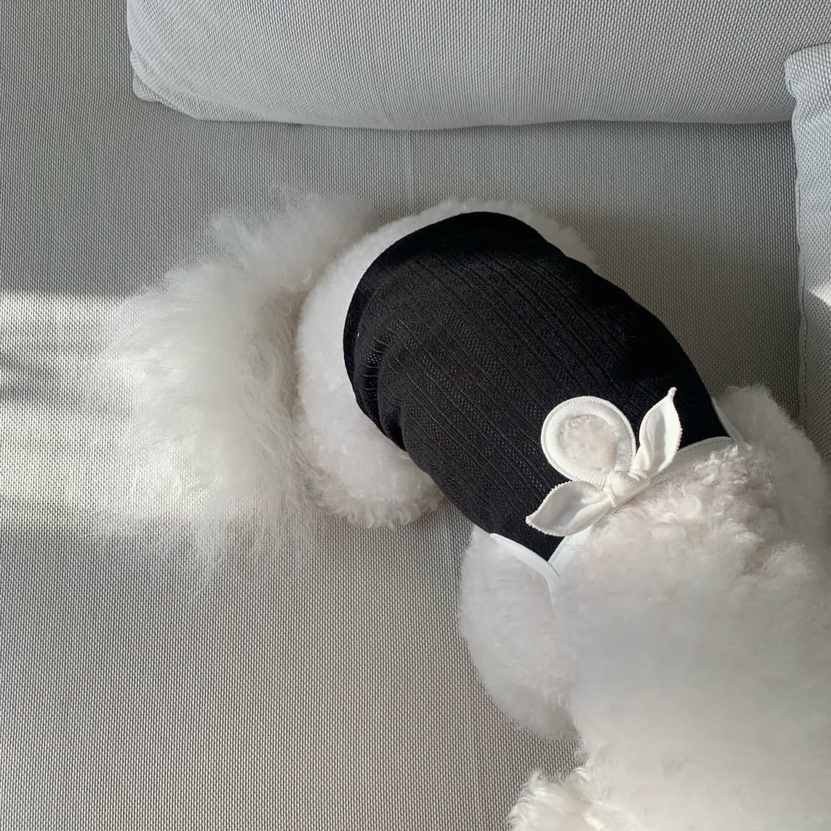 春夏新作 犬服 ペット服 犬 洋服 ペット 犬用品 小中型犬 春夏薄手犬服猫小型犬キャミソールベスト