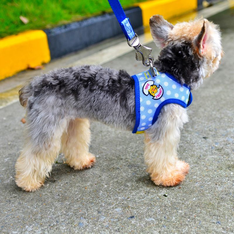 牽引紐通気小型ベスト犬チェーンテディはペットを連れて犬を散歩します メガ割ワンピースパンツトートバッグ