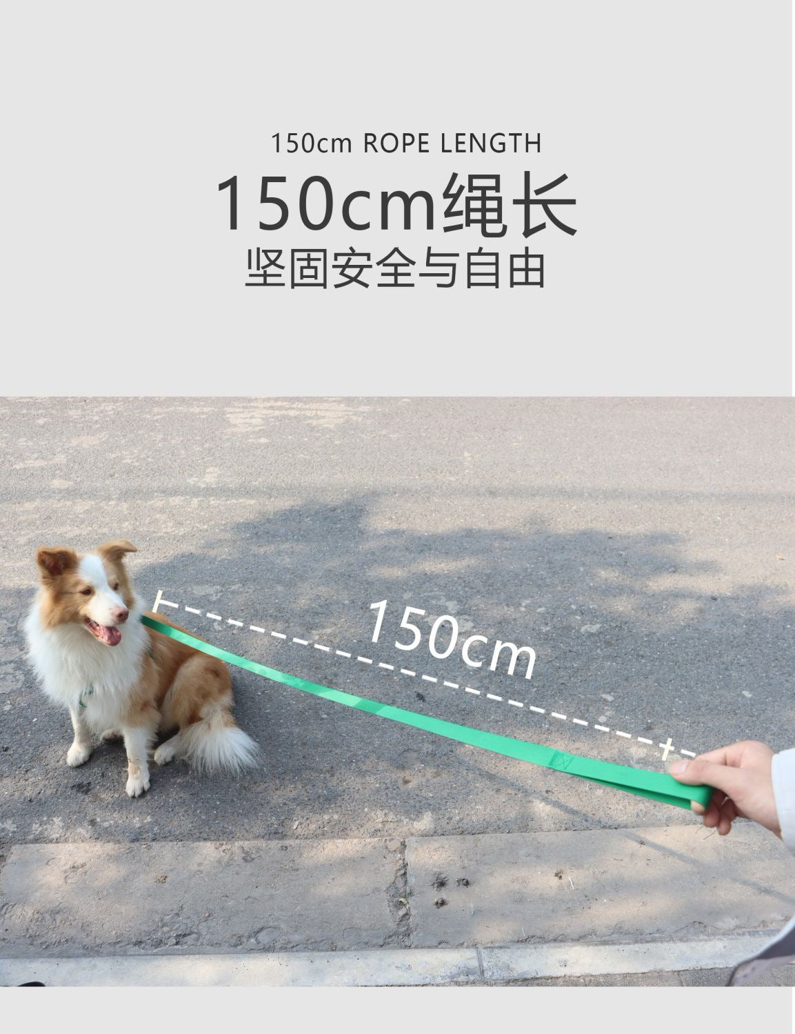 ペットベスト犬ロープ牽引ロープ反射小型通気性外出ストラップ散歩犬子犬子犬子犬チェーン メガ割ワンピースパンツトートバッグ