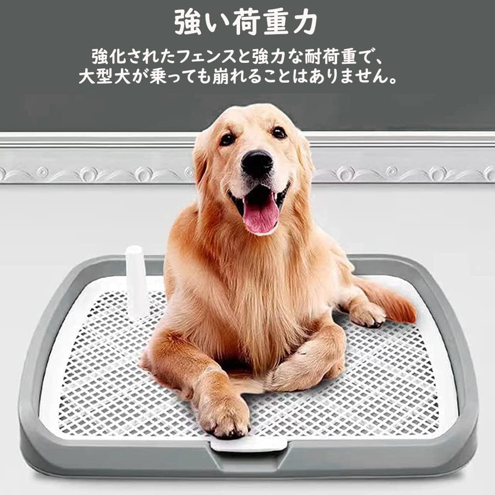 送 料 無 料!ペットトイレレイー 65X50CM 大型犬トイレ トレイ ワイド 犬用トイレ マーキングポール フチ付き トレーニング しつけ メッシュ しつけるウォールトレー メッシュトレー ボック