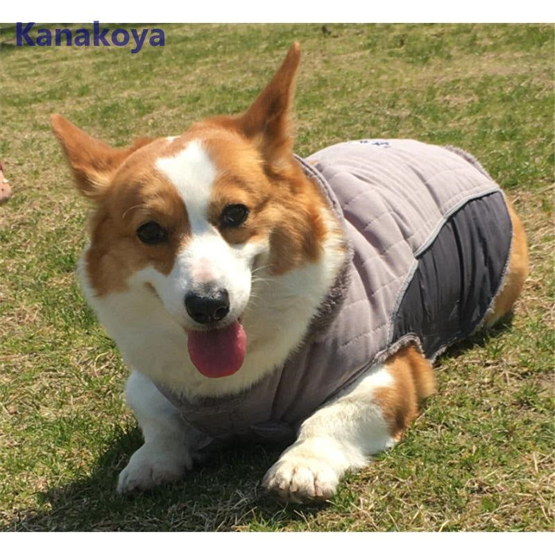 犬 服 ペットウェア 秋 冬 中綿入り フード付 裏ボア 裏起毛 保温 防寒対策 あったか ドッグウェア 小型犬 中型犬 愛犬 猫 旅行 お出掛け