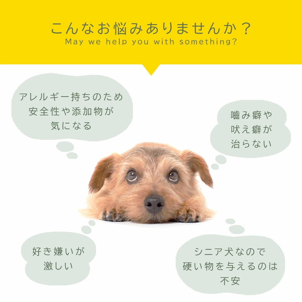 <a href="https://www.qoo10.jp/gmkt.inc/Search/brand.aspx?brandno=60969" target="_blank" class="title_brand" id="btn_brand" title="ガム">ガム</a>犬用おやつ デンタルスティック 国産 無添加 200本 (50本4袋) ペット はみがき 犬用 おやつ 着色料不使用 保存料不使用 小型犬 中型犬 大型犬