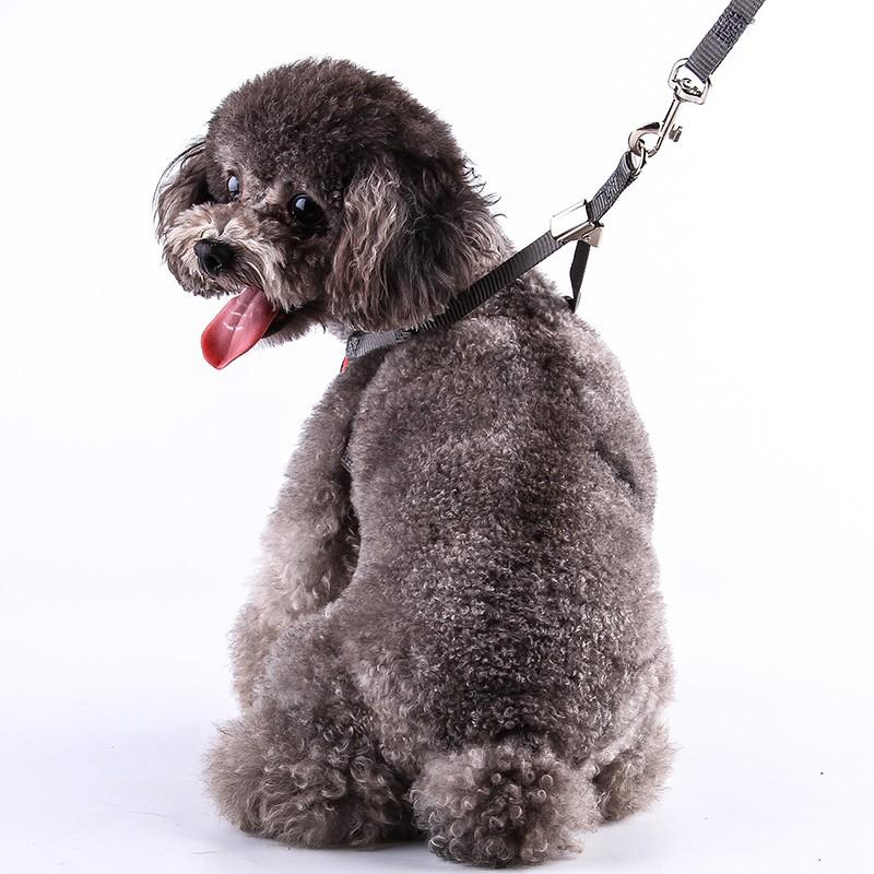【在庫限り】犬 サイズ調整可 チェック柄 首輪 小型犬用 リード 中型犬用 蝶ネクタイ ワンちゃん 犬用 ペット リボン ハーネスリードセット ハーネス