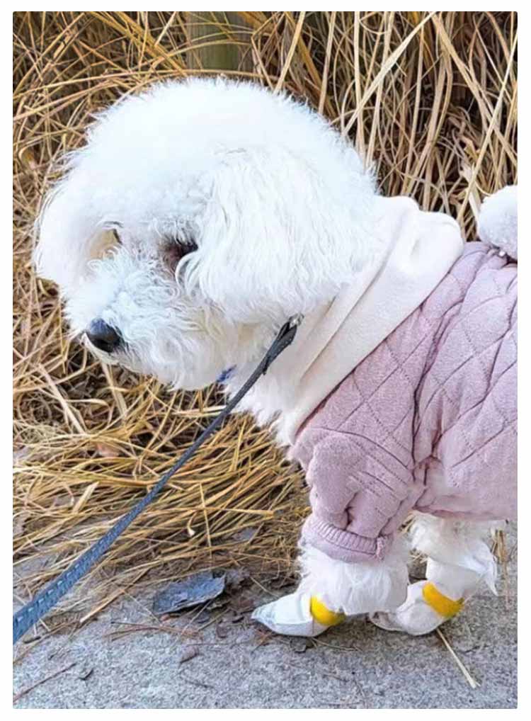 限定販売足元の汚れ防止 【80枚入】犬 ドッグブーツ 使い捨て 40足 【80枚入】犬 犬用靴下 犬用靴 肉球保護 靴 柔らかい 通気性 不織布 猫用 軽い フットカバー 犬靴下 ペット 滑り止め 靴